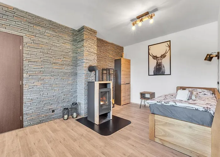 Apartmán Rezidence Rokytnice Rokytnice nad Jizerou